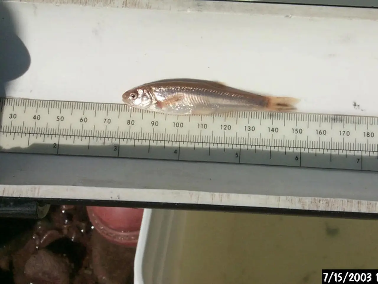 Analyzing Time Sequences with ARIMA Model in R Coding