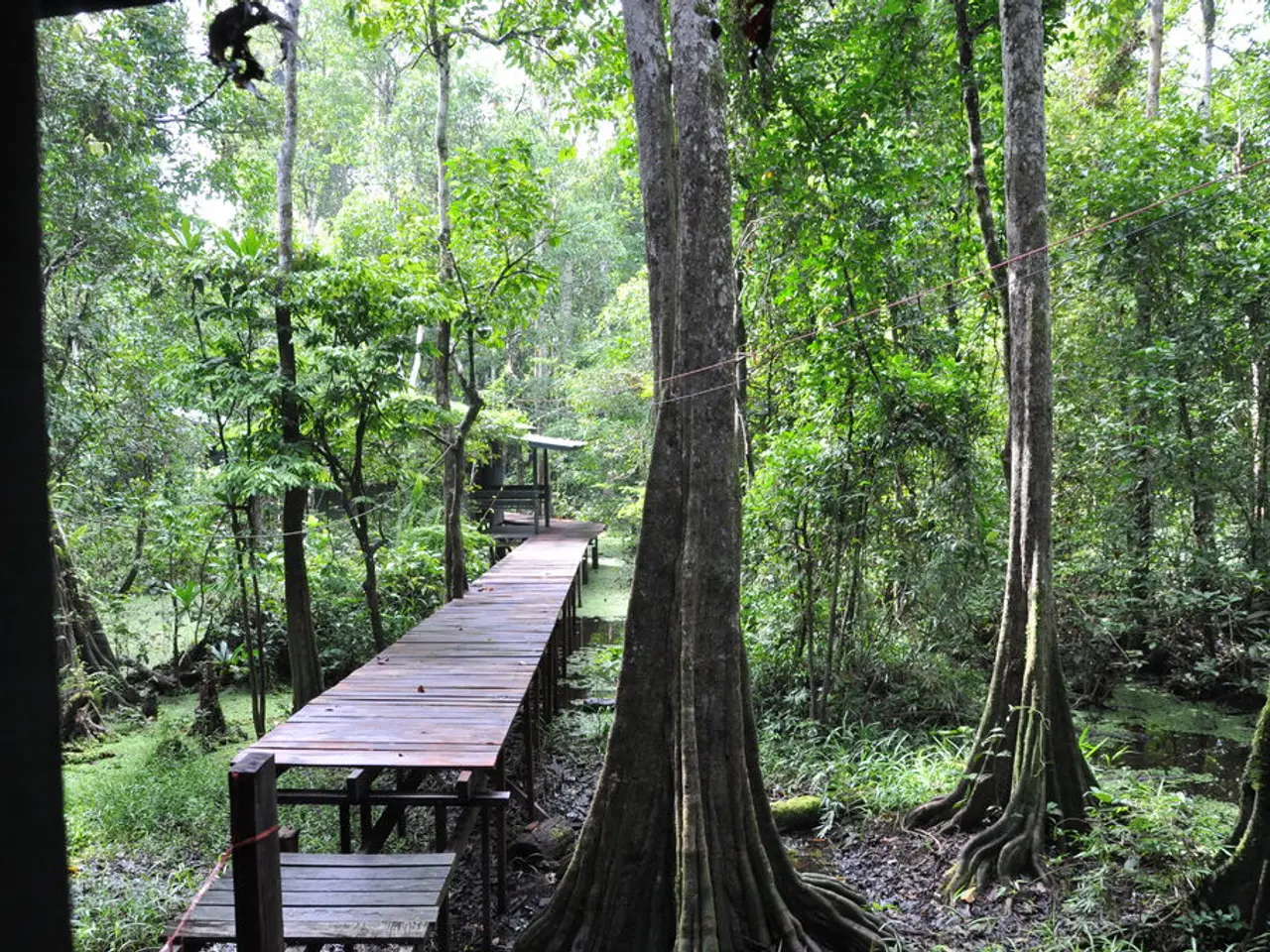 Separating Routers and Controllers in Node.js: A Guide