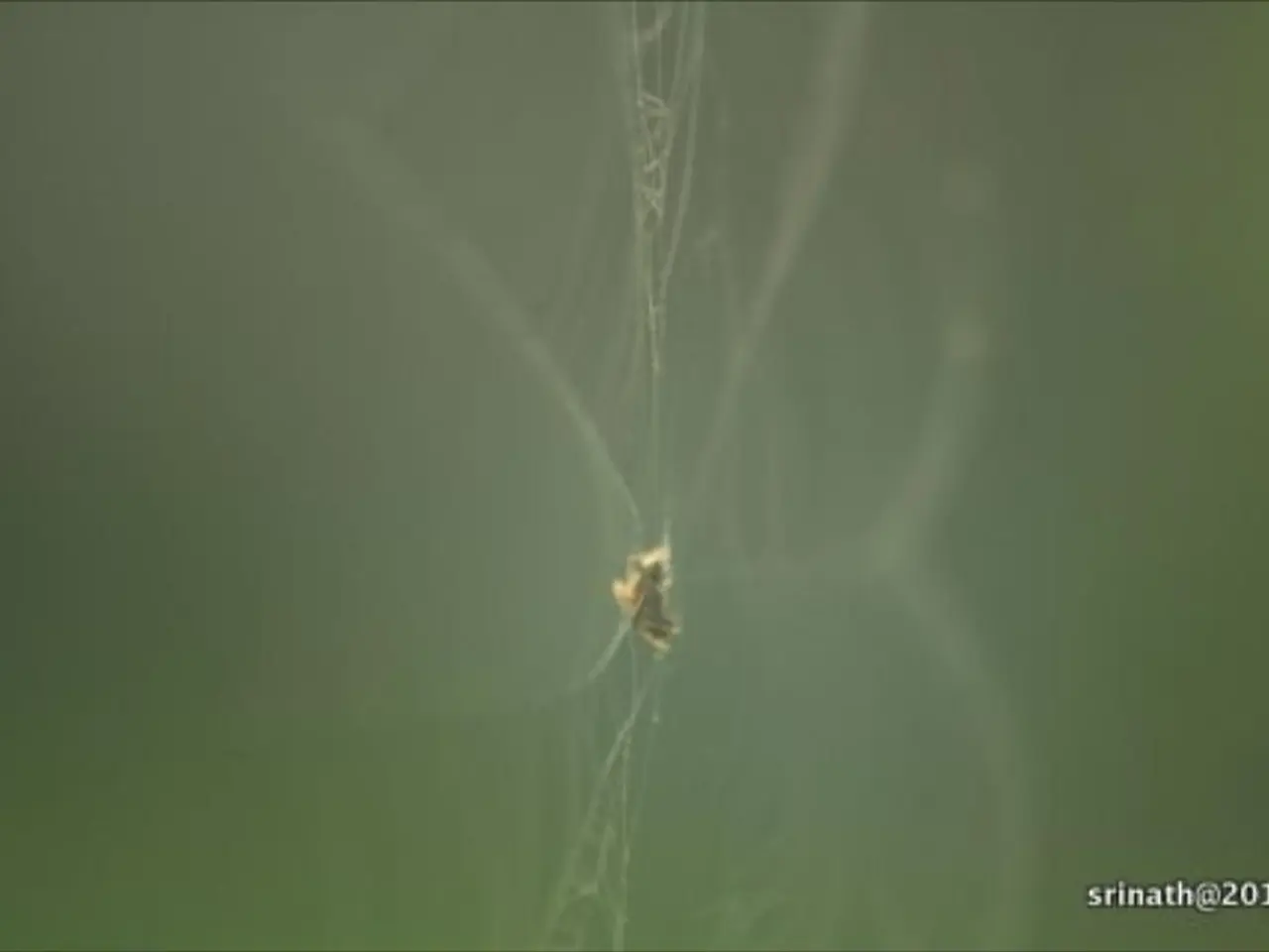 Unveiled: SSL Encryption Weakness Uncovered in Next-Generation Firewalls and Web Security Programs...