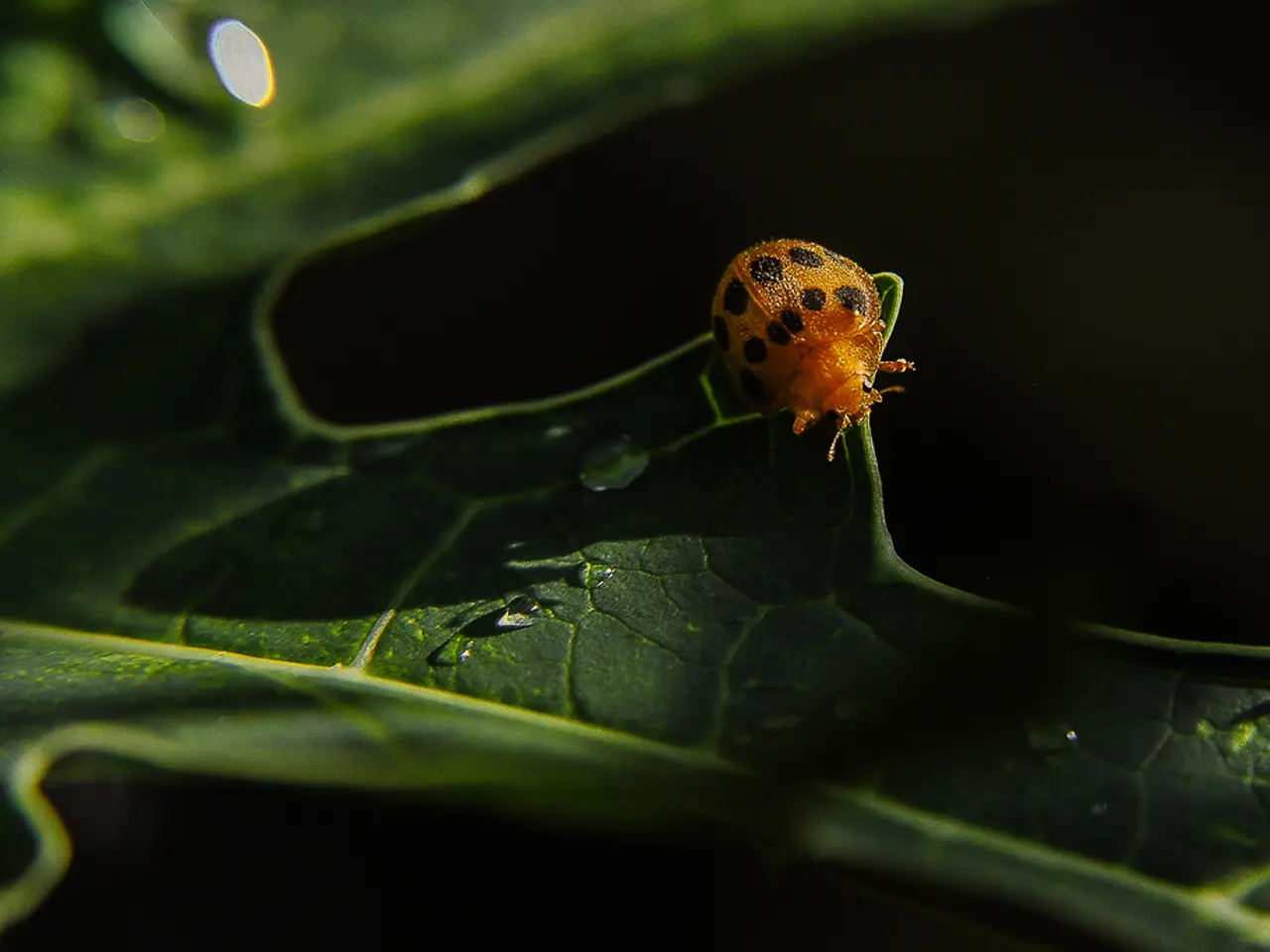 Bitcoin Core update tackles five-year data storage vulnerability on nodes, improving system's...