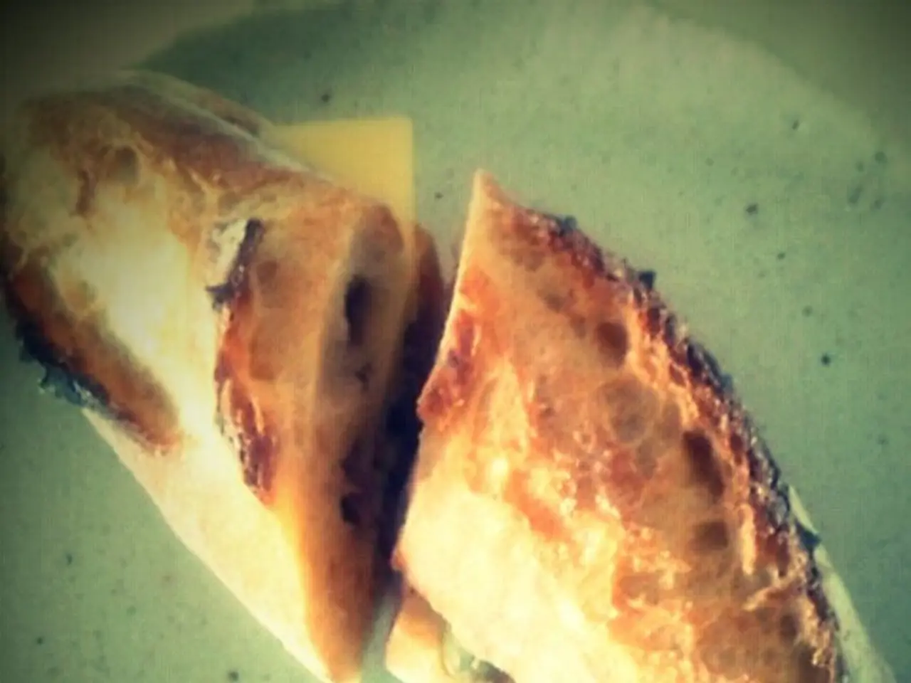 Corporate Acquisition: Middleby Acquires Frigomeccanica, a Food Solutions Company