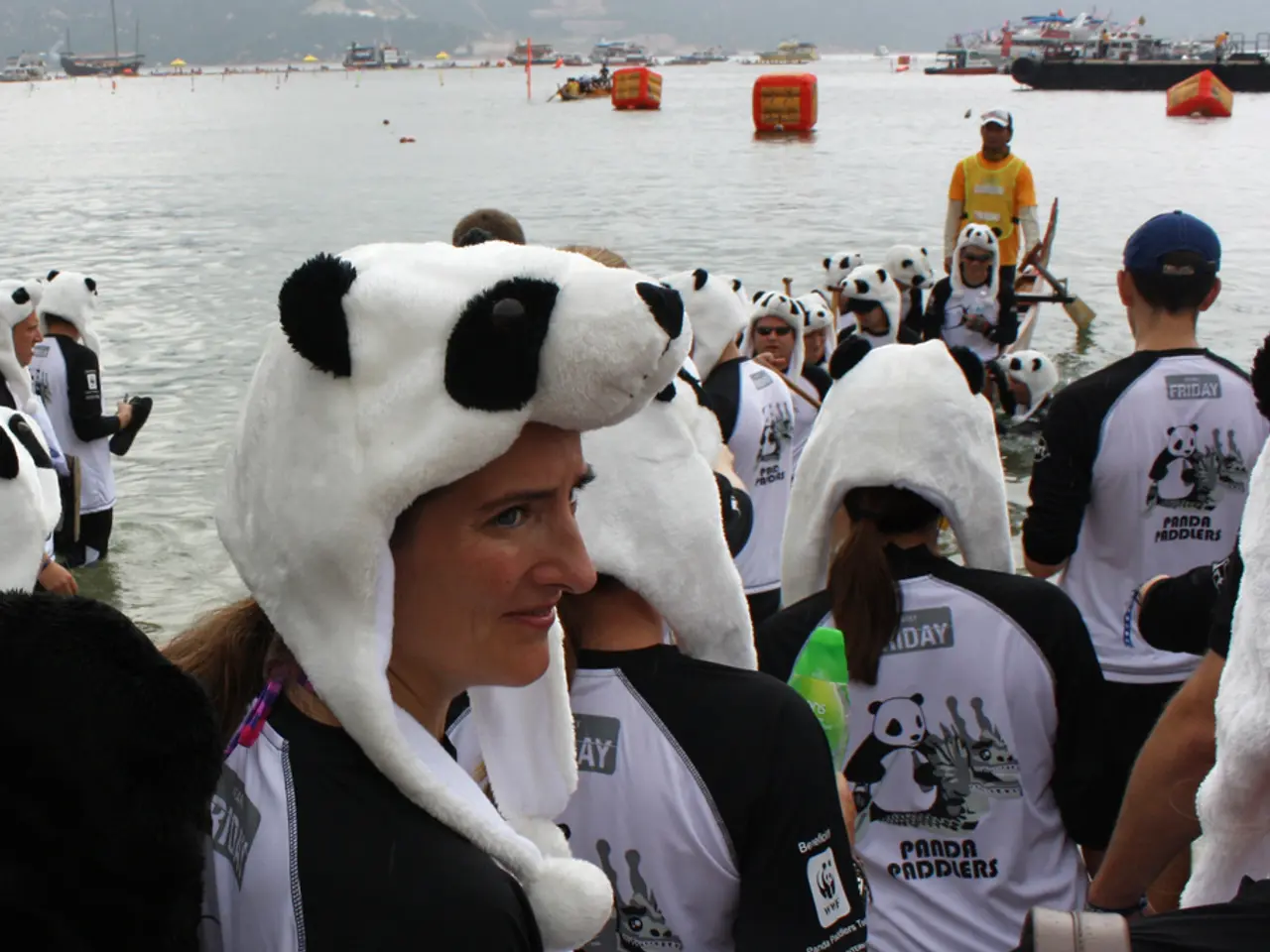 Accelerating Data Analysis with Pandas and Python: The Why Track