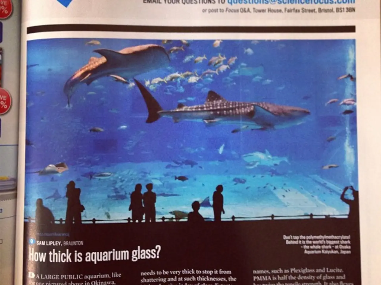 Transformed Tips for Turning Web Visitors into Clients through Effective Design