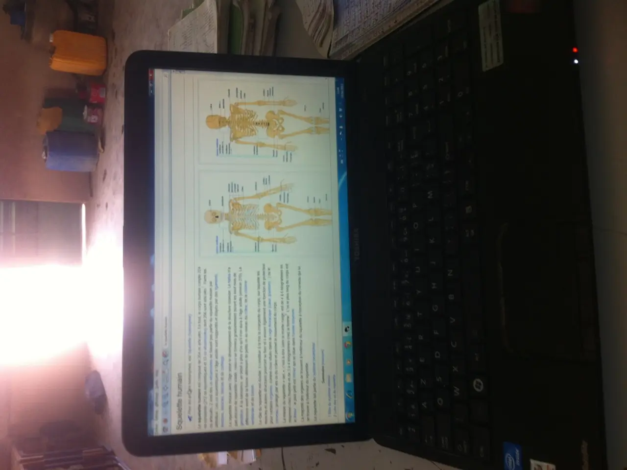 There is a laptop on a table. On the screen something is written and skeletons. On the table there...