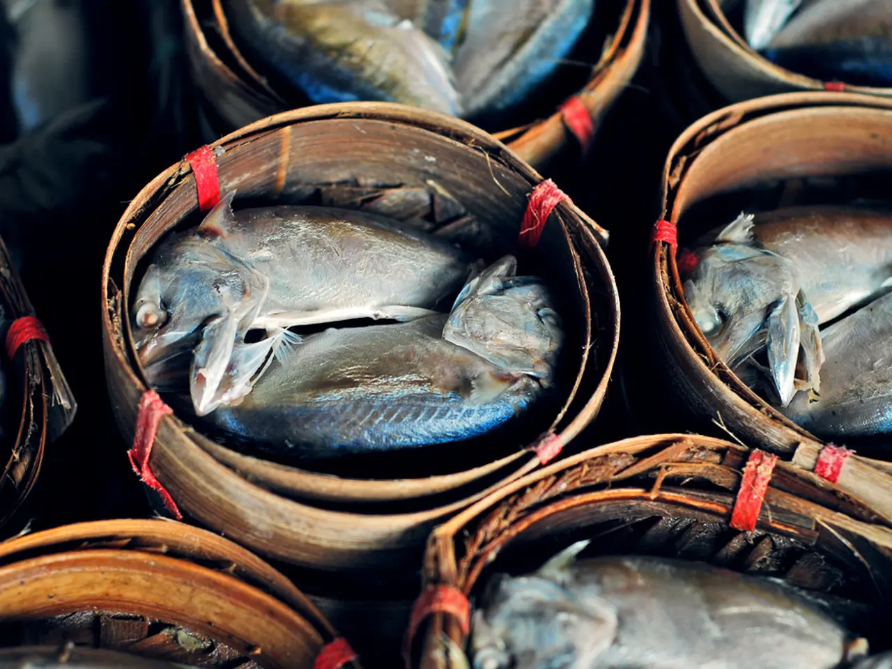 In this picture I can see buckets and in it I see number of fishes.