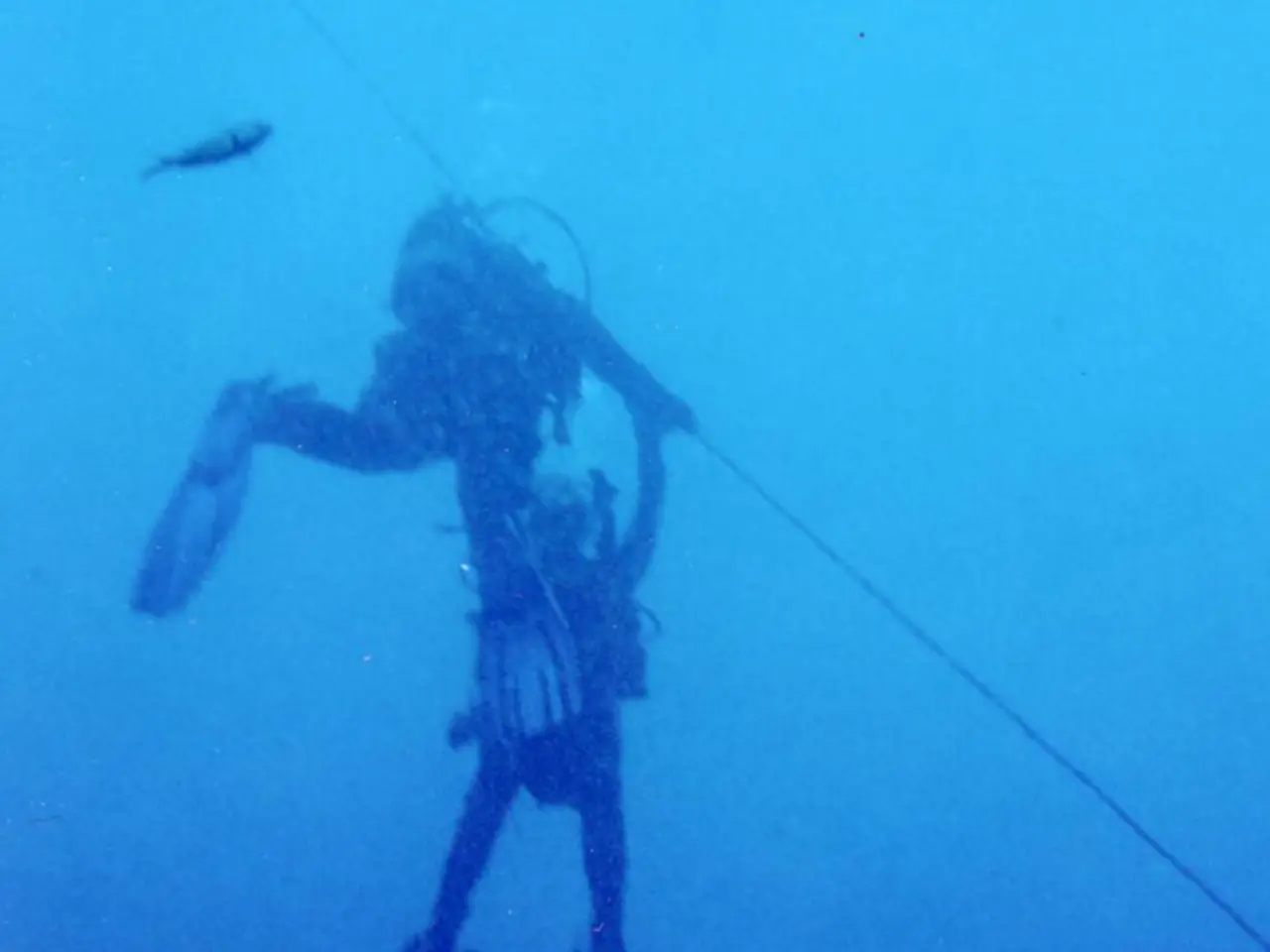 In this picture we can see two people wore swimming pads and a person with a oxygen cylinder at the...