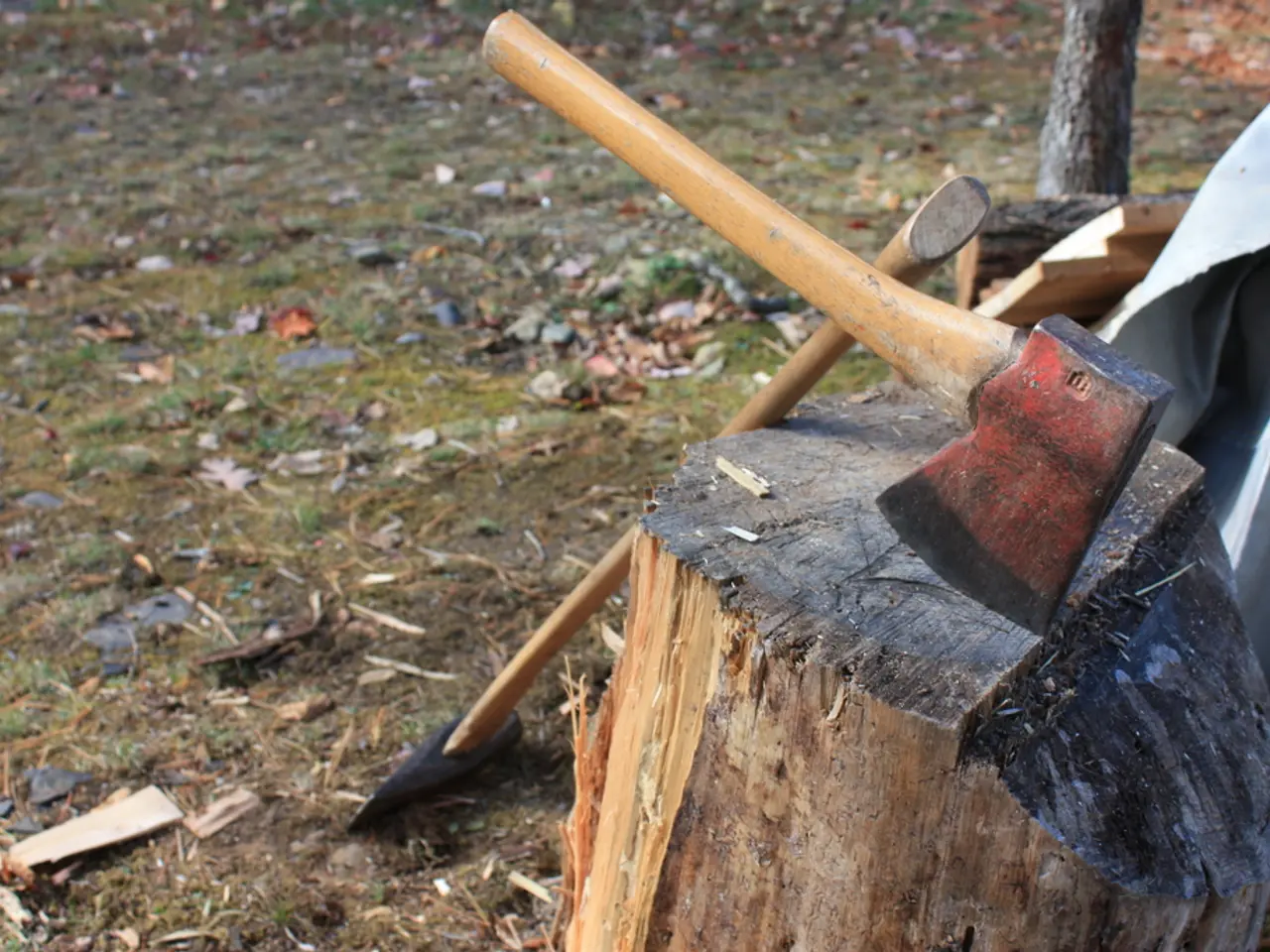 In this image there are two axes and one log. In the background we can see ground. Bark is also...