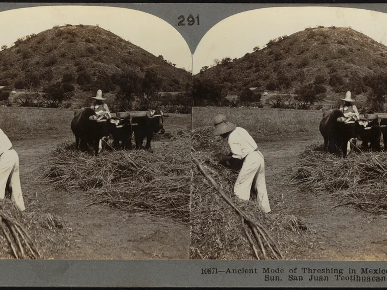 This picture shows a collage of couple of pictures. We see hill with trees and we see couple of...