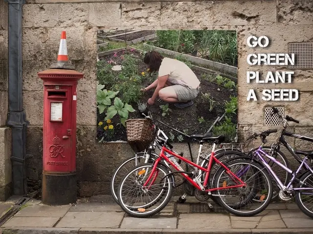 Cyclists in New York City now subject to increased speed restrictions