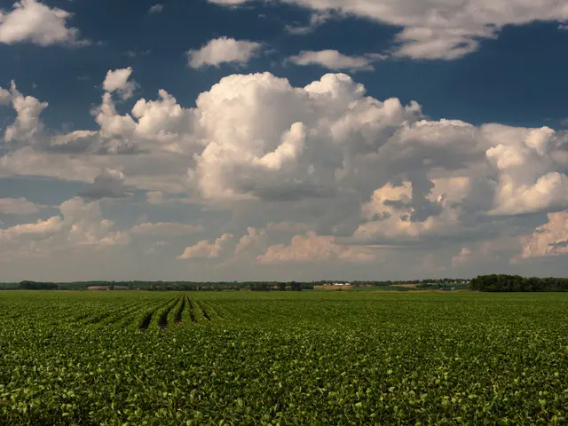 Eco-Friendly Technology's Promising Future Unfurls