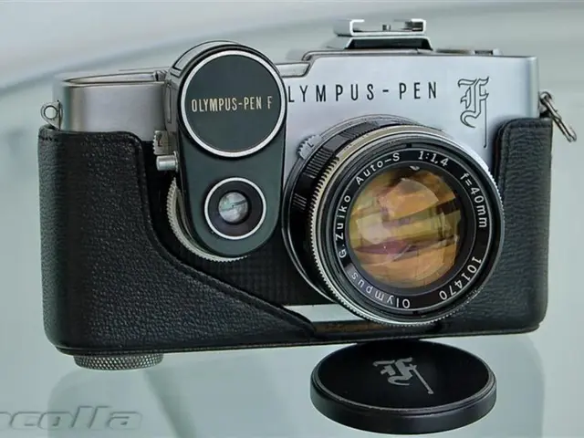 Mastering Underwater Shooting with Nikon Z7, Z7II, Z6, Z6II: Essential Tips and Settings