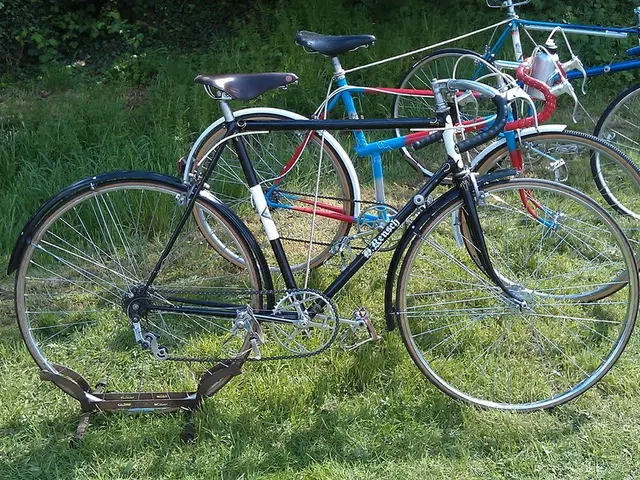 Marking Two Decades of Anaerobic Digestion: A Retrospective