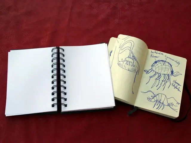 Issues with Integrating Jupyter Notebooks and Git have been Resolved