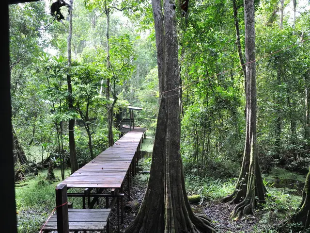 Separating Routers and Controllers in Node.js: A Guide