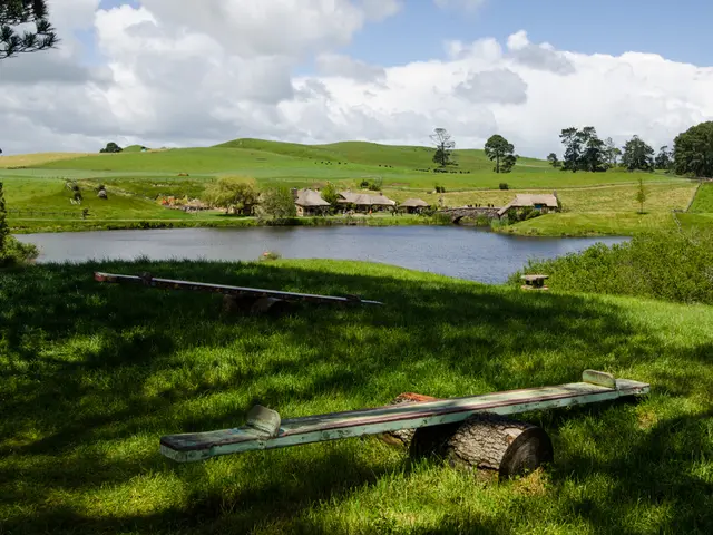 Stock Decrease of Datadog: Reason Uncovered