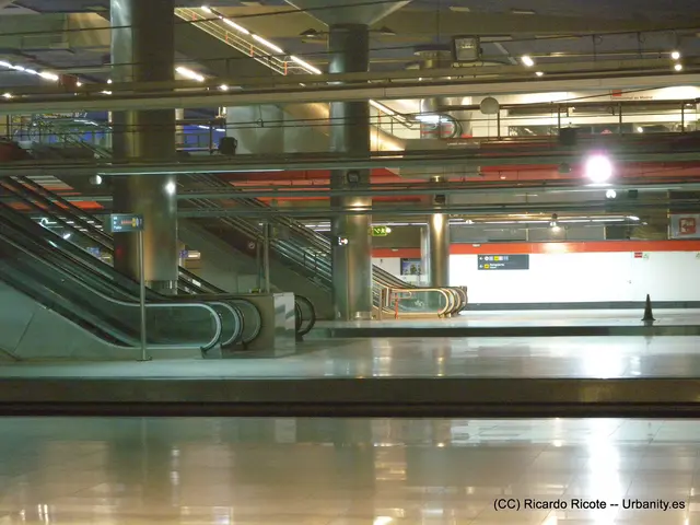 Century-long journey on escalators: a momentary joy lasting 30 seconds