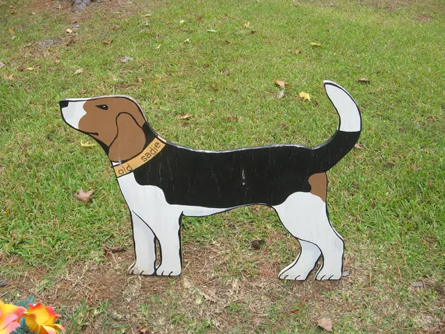 Streamlined Dogecoin Mining: Boost Your DOGE Income Effortlessly with AIXA Miner