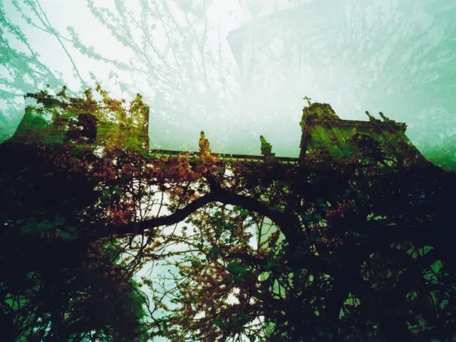 The 'Wolfsgrube' Bridge in Sulzbach-Rosenberg is swiftly increasing at a delightful speed.