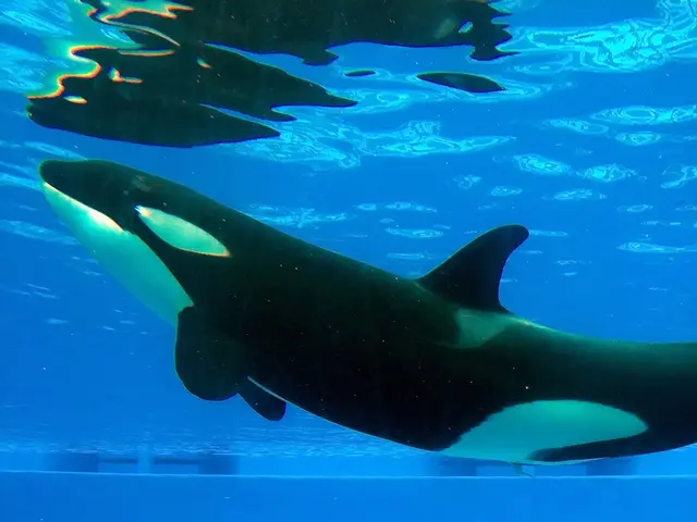 Unknown cryptocurrency account purchases $54,000 in bitcoin back in 2011, Then week later sells it...