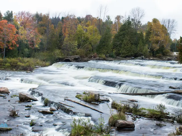 AI Detection Reveals Over 86,000 Earthquakes Beneath Yellowstone's surface