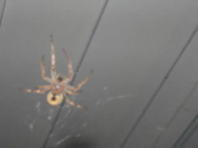 Unveiling the Financial Burden and Reputation Damage Caused by an Inadequately Structured Online...