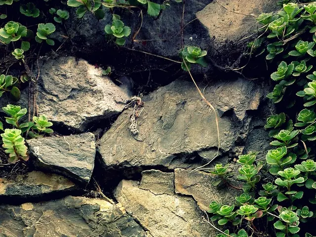 Exploring Dioptase: A Deep Dive into the Vibrant Gemstone and Mineral from Gem-A's Collection