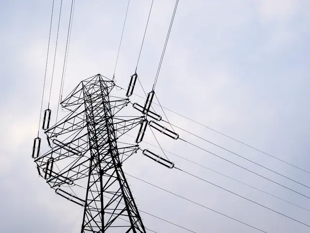 Starlink, owned by Musk, encounters outage lasting over two hours.