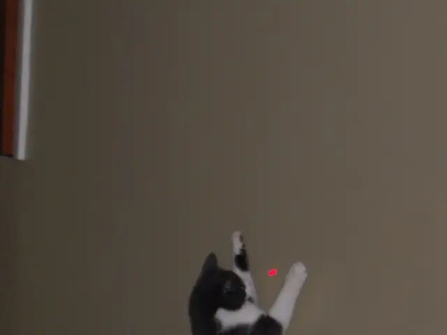 Funding halt for America's project to complete its powerful laser weapon aimed at intercepting...