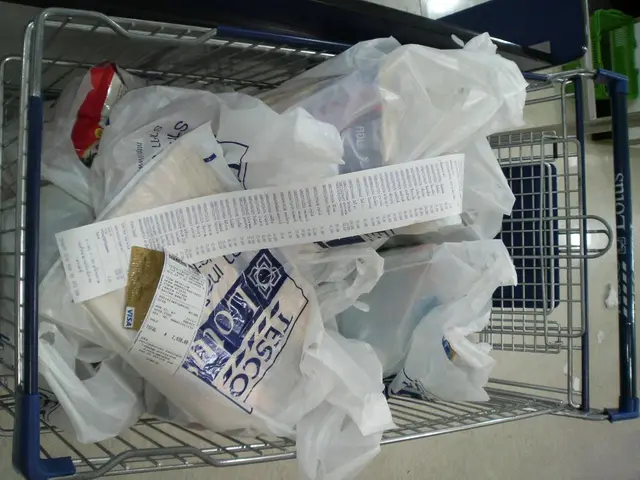 Streamlining Combined Holdings via Harmonious Connections | Flexys in Alliance with Capital on Tap