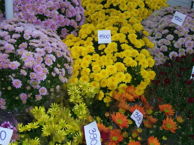 Cardano's (ADA) Price Soars from Bullish Consolidation - Could It Reach $1.60?