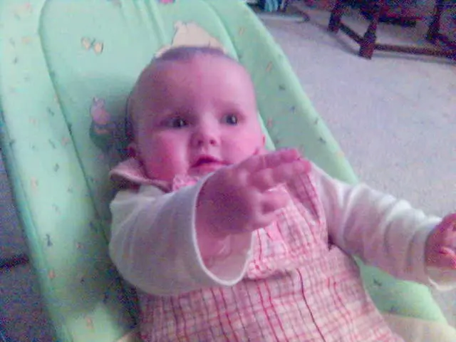 Early Embryo Development Mysteries Uncovered through Artificial Uterus Research