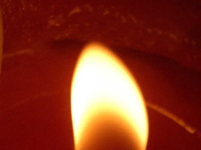 Community-Driven Shib Burn Explanation: Understanding How Shib Inholders Are Fostering a future of...