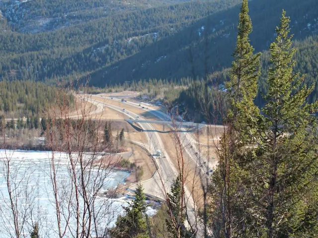 Picking the Ideal Motor Oil: A Guide