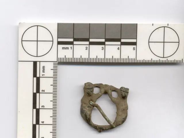 Machine Capable of sorts: Diamonds, Screws, and Seeds - Unveiling Unmatched Versatility!