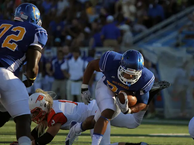 Transformed Headline: Harmonicode Sport Elevates both Competitive and Casual Pastimes