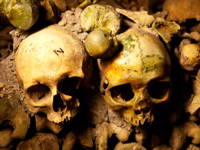 Syndicate's cancer lab initiates trials on 3D-printed bones following a large $7.7 million charity...