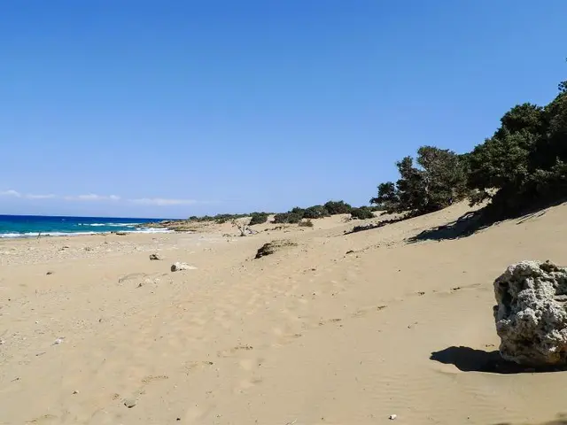 Desert patterns in California reveal secrets aiding scientists in tracing Martian moving sands