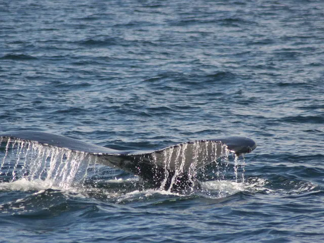 Large-scale Ethereum short position by confidential investor generates $3.24 million earning