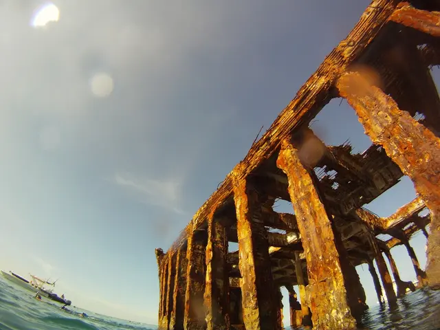 International Space Station welcomes SpaceX's Crew-11 astronauts (video footage)