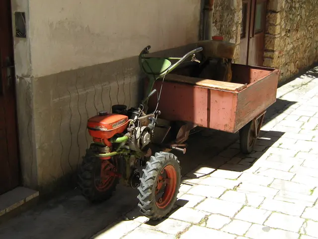 Cost-Effective Garage Door Maintenance: Avoiding Expensive Blunders Through Expert Advice