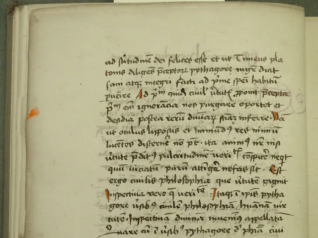 Fix your WordPress hassles, courtesy of Kodee!