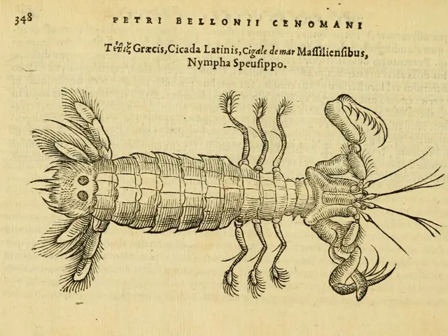 The latest edition of the "No Bees, No Life" magazine on our site has been released