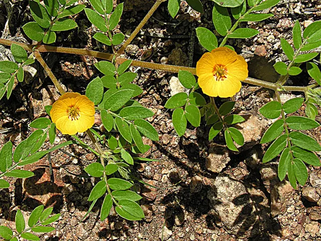 Rapidly master 99% of Git functions within just 8 minutes