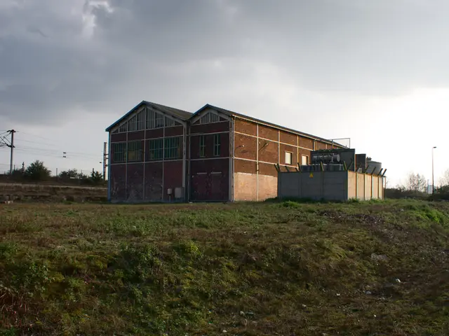 Britain should abandon imported solar panels and produce its own, according to industry...