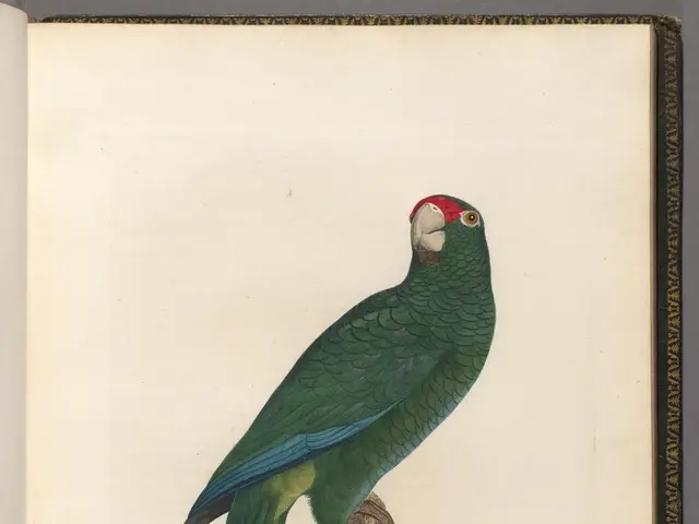 Amazon Shares Soar on Monday