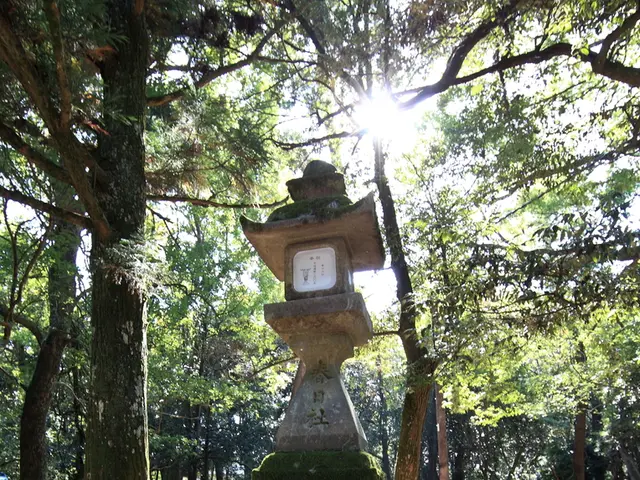 Revamped Hunting Application in Fiordland Emphasizing Safety Measures