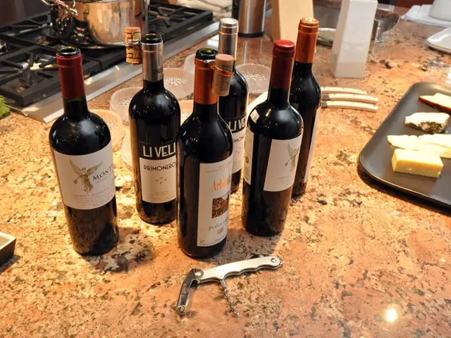 Fast Boil Stove Systems in a New Era: Jetboil Leads the Pack with Innovation