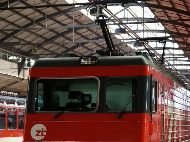 Victoria Alekseyenko's Job-Related Struggles