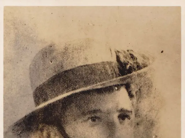 expressed reservations about the value of the Cricut Hat Press, questioning its cost effectiveness