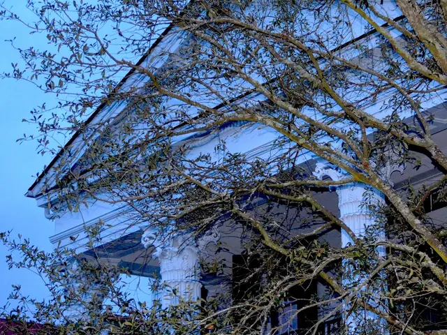 Project Management: Comprehensive Guide on Work Breakdown Structures [Includes Complimentary...